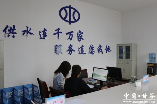 甘谷县西北部农村饮水安全工程供水站乡镇管理分站正式揭牌运行